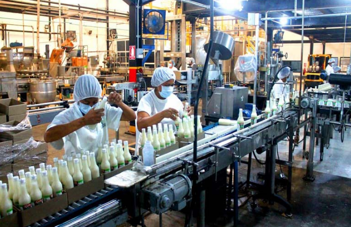 La empresa privada sostiene e impulsa la recuperación económica