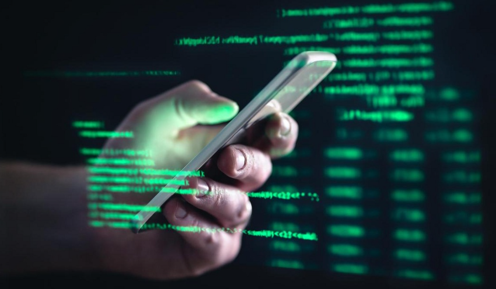 Policía de Túnez detiene a 26 miembros de una banda dedicada a estafas digitales en redes sociales