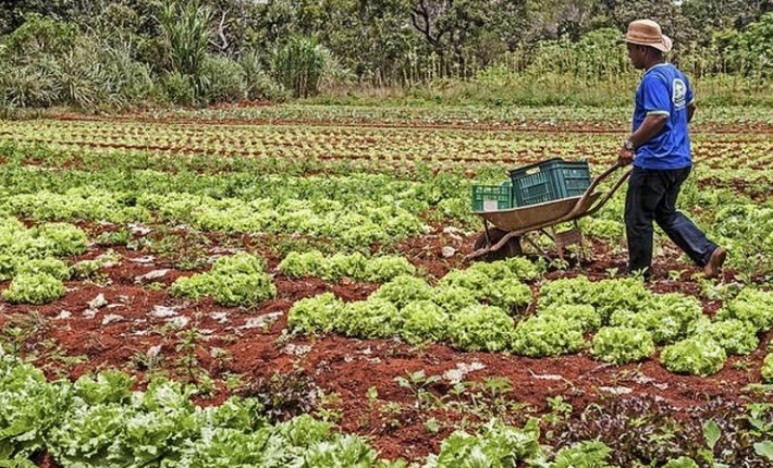 ¿Por qué el debate sobre la Venezuela rural?