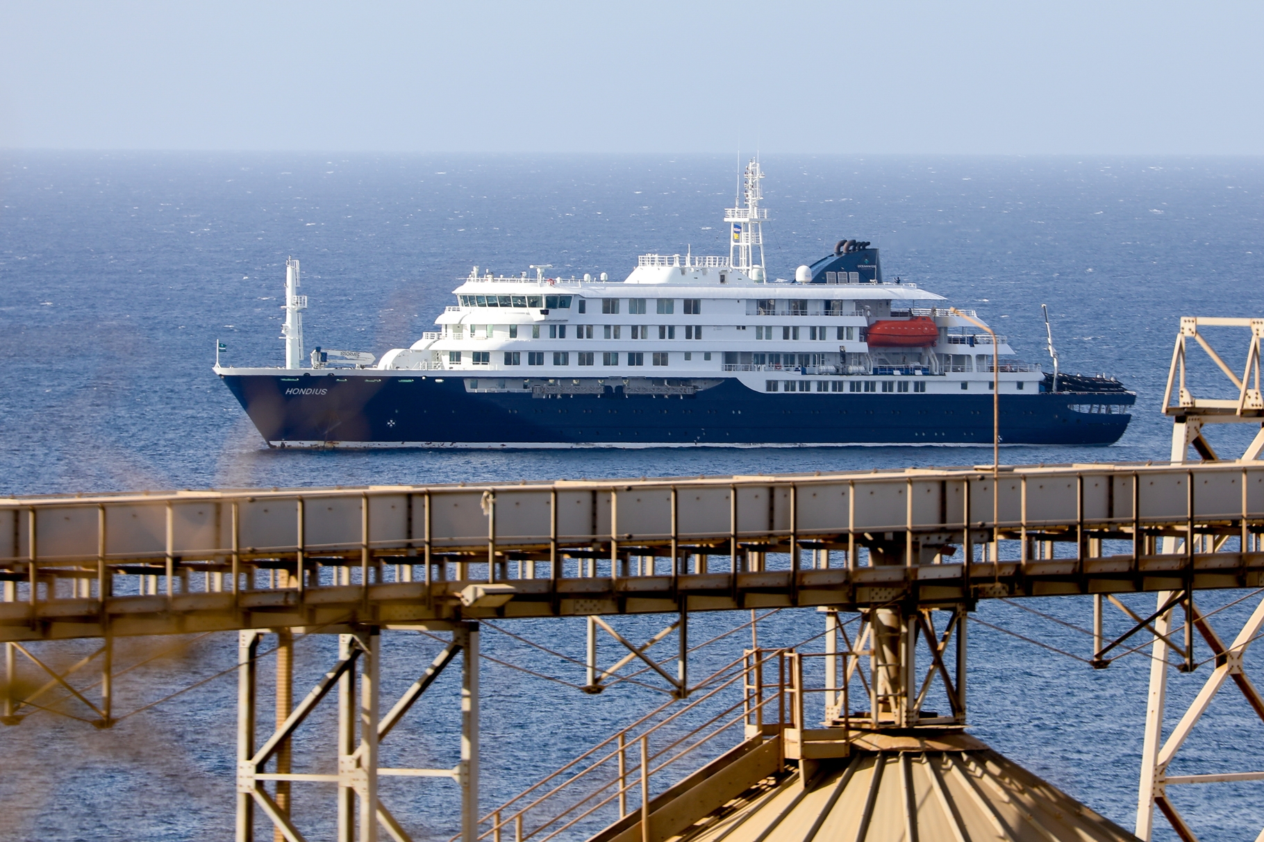 El hantavirus lo que hay que saber del peligroso virus encontrado en un crucero
