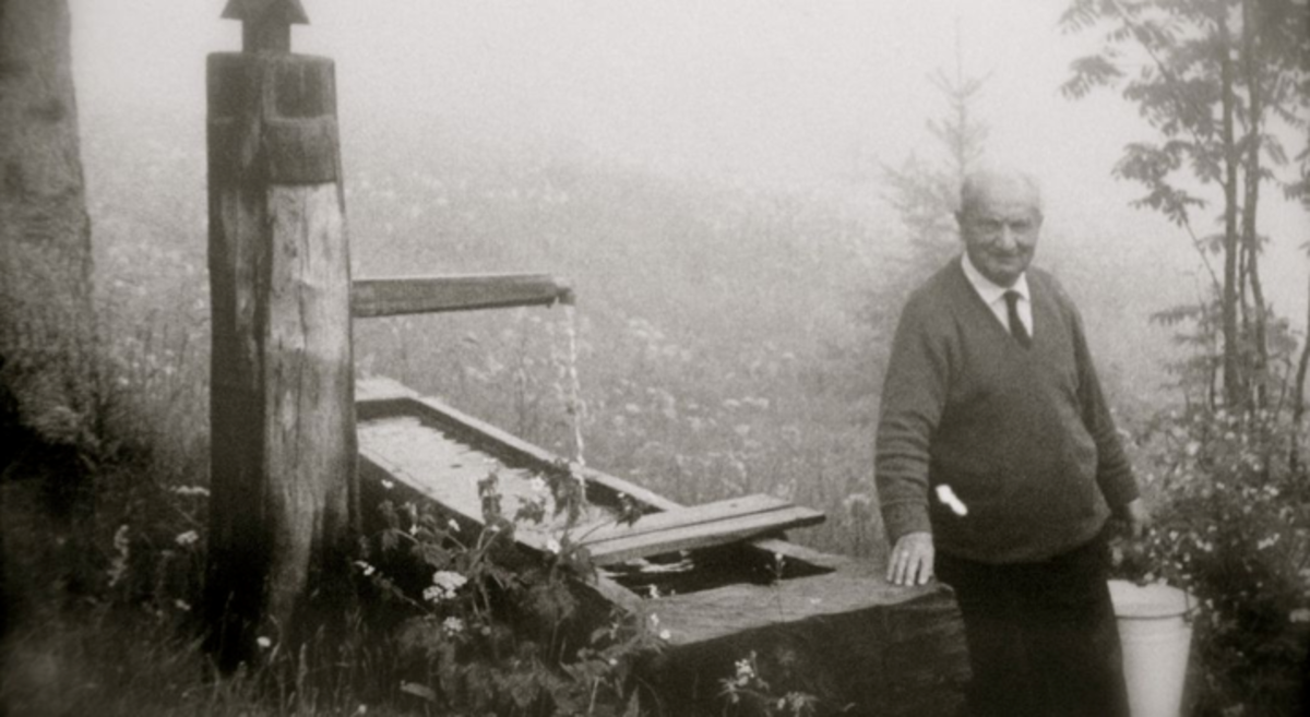 Un bosque llamado Heidegger. Cincuenta años después