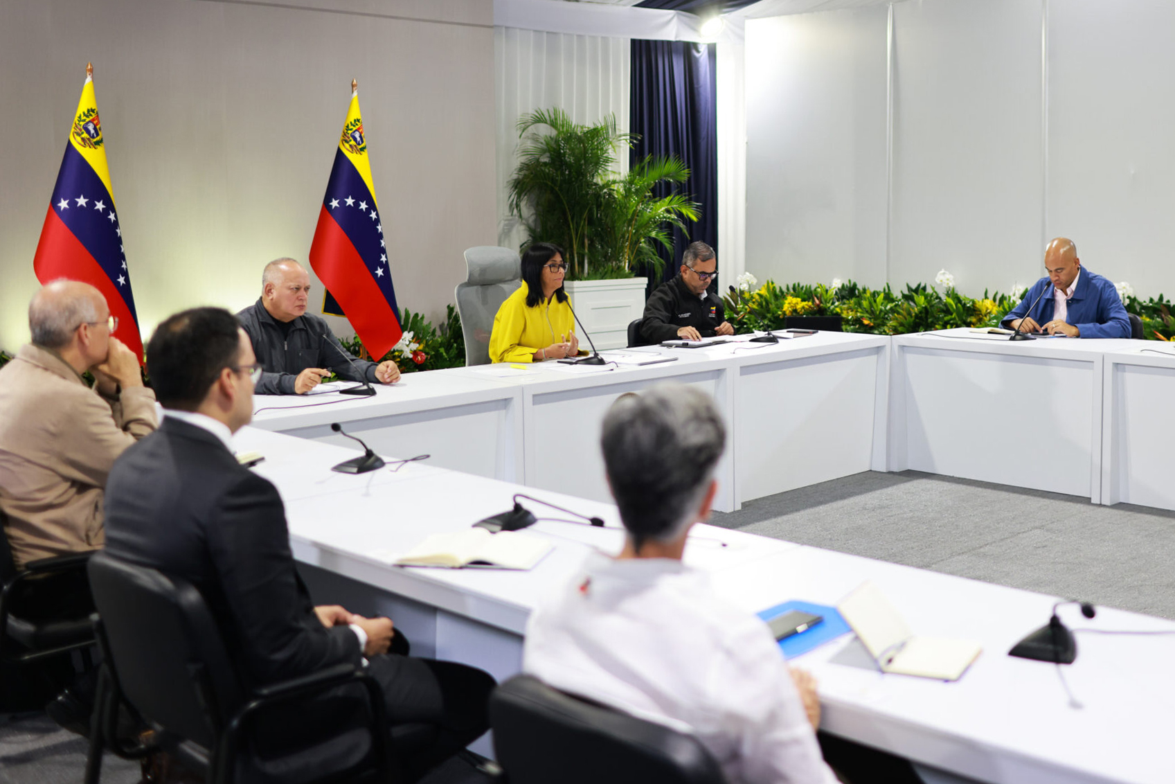 Delcy Rodríguez evalúa con gobernadores el sistema eléctrico tras el 