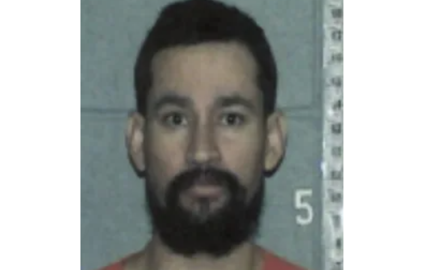 ICE pide la custodia de venezolano acusado de abusar de su hijastra adolescente