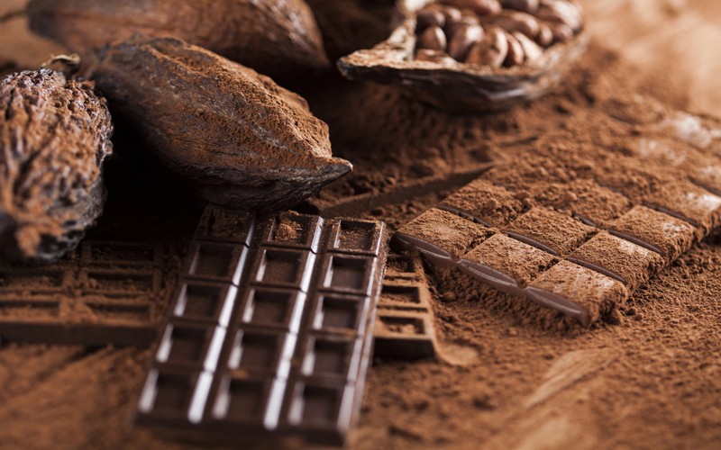 Cacao venezolano conquistó Burdeos con cuatro medallas de oro