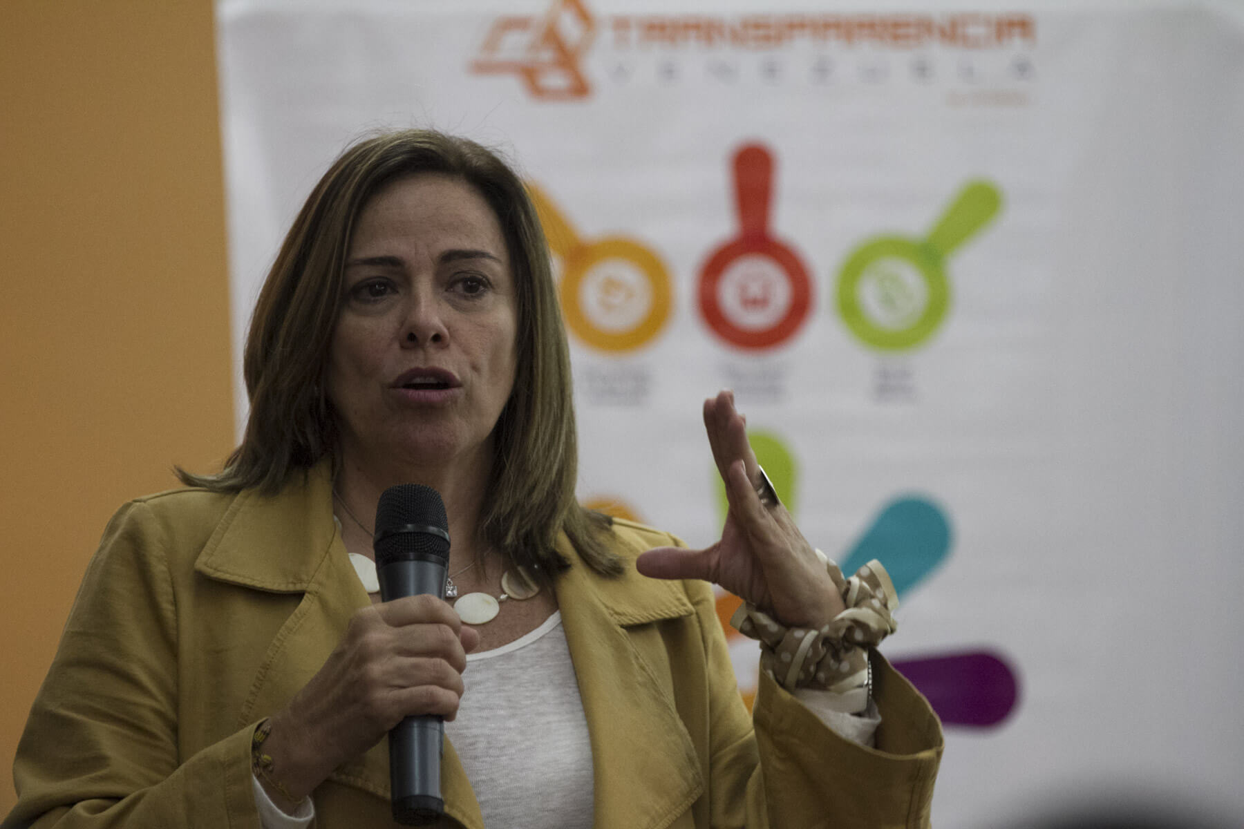 Transparencia Venezuela: Expedientes por corrupción chavista revelan desfalco de 70.000 millones de dólares