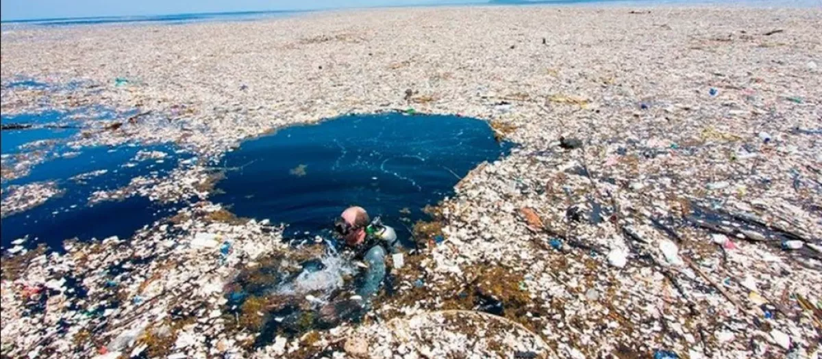 La isla de basura del Pacífico: el continente de plástico que ya ...