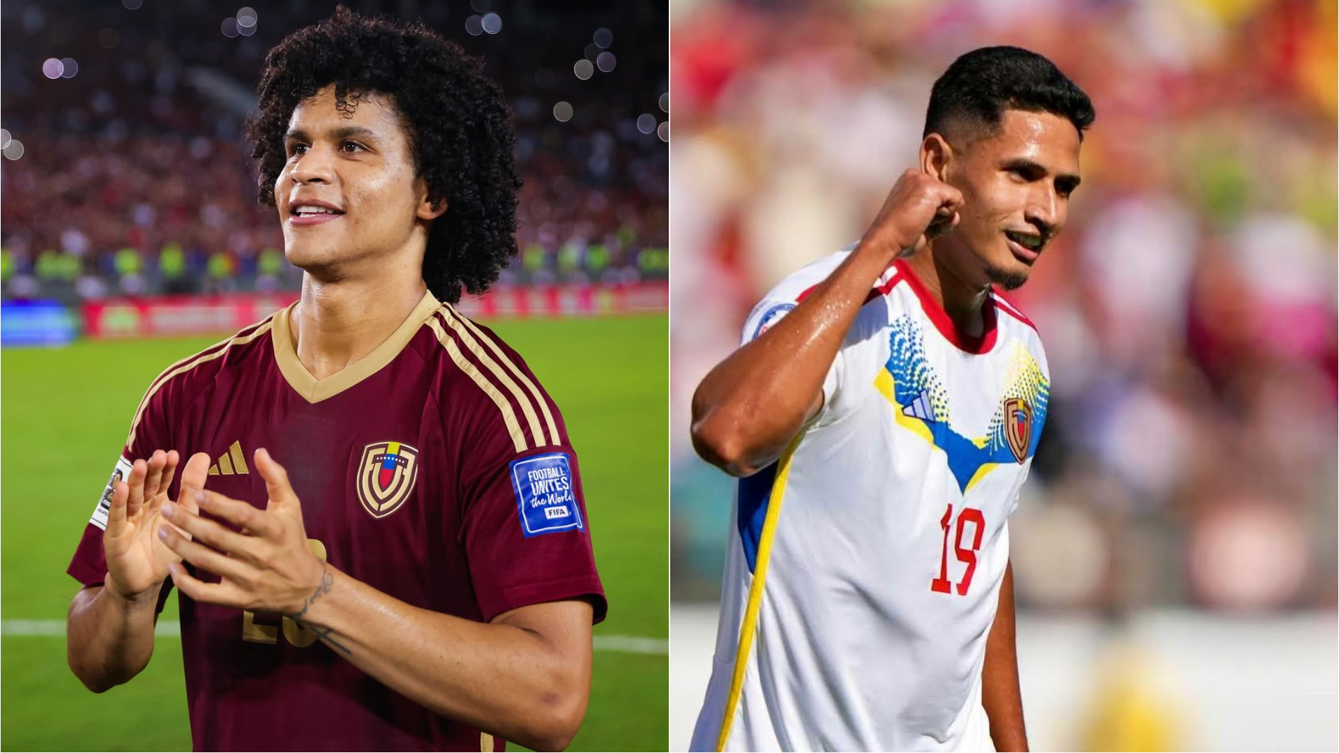 Cover image for Eduard Bello y Eric Ramírez no estarán presentes en los amistosos de la Vinotinto