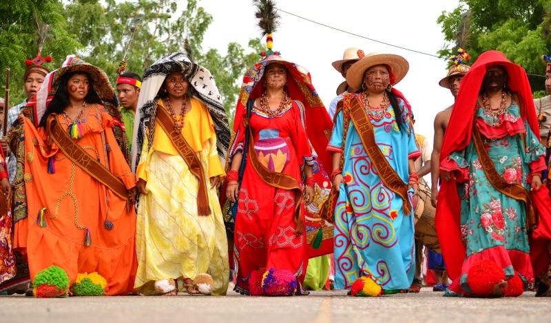 Cover image for Guardianas de la cultura, rehenes electorales: mujeres indígenas en la transición venezolana