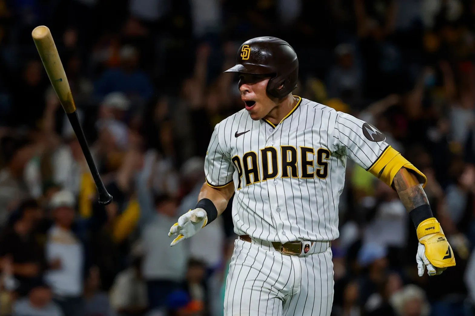 Freddy Fermín se pone a la altura de Soto y Tatis 