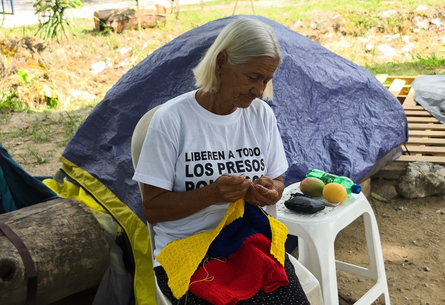 Cover image for En el “campamento de la dignidad”