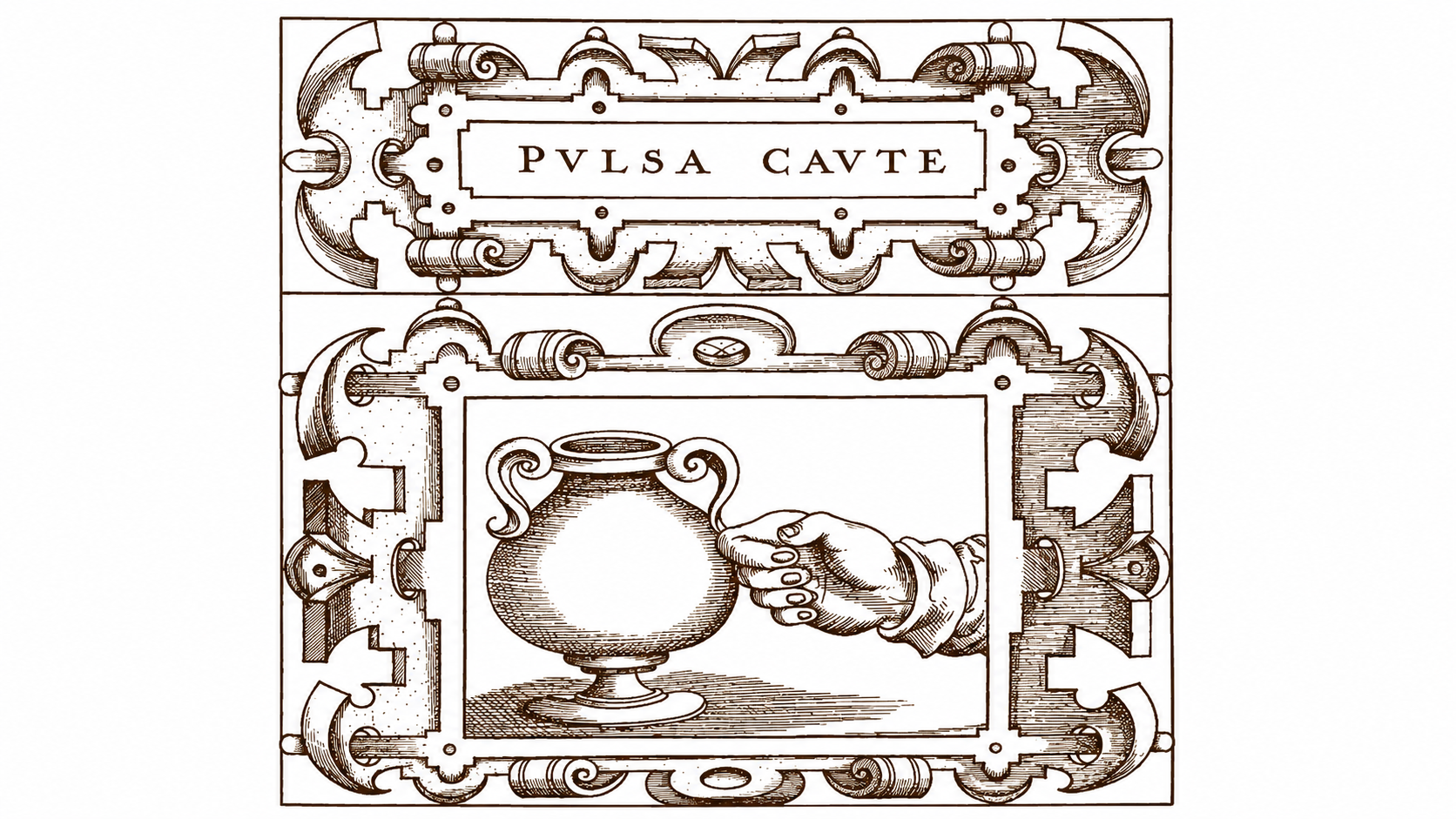 Pulsa caute
