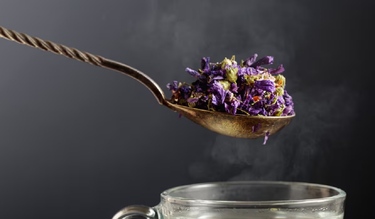 La planta medicinal que calma la tos, combate resfríos y protege la piel