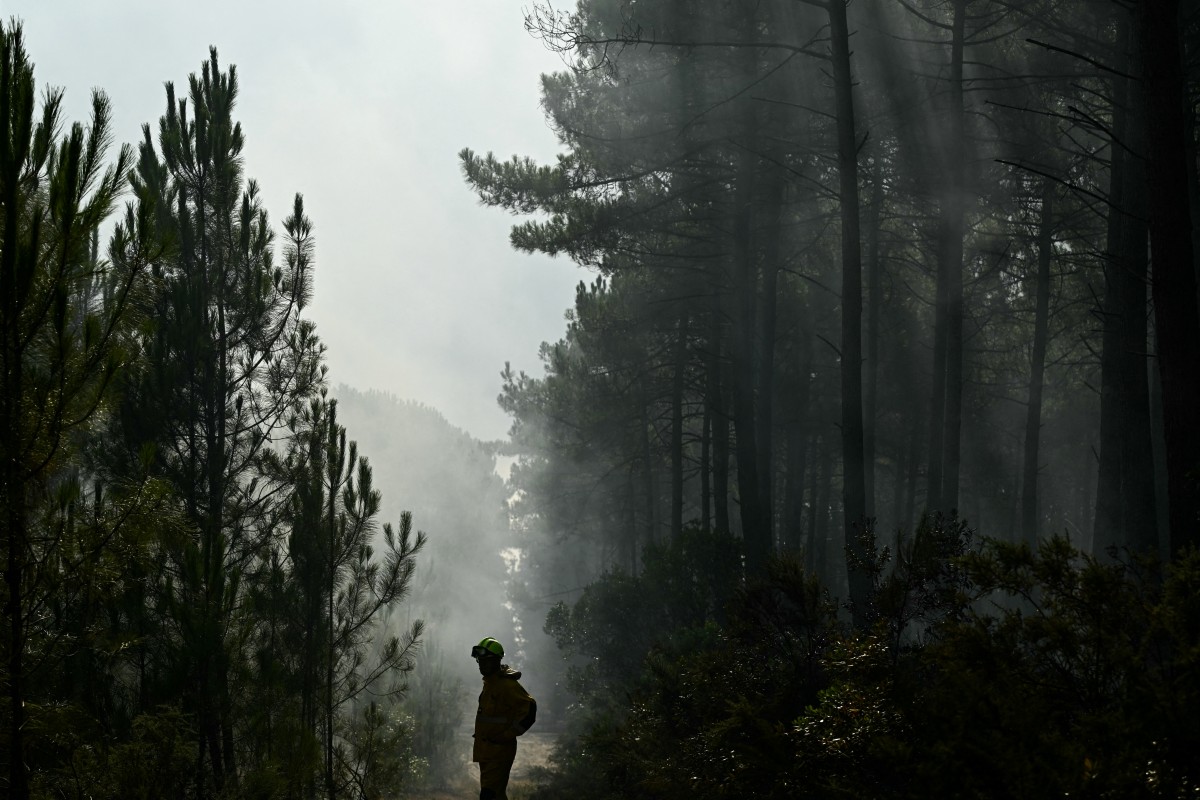 Francia autoriza a regresar a sus hogares a 84.000 evacuados por megaincendio