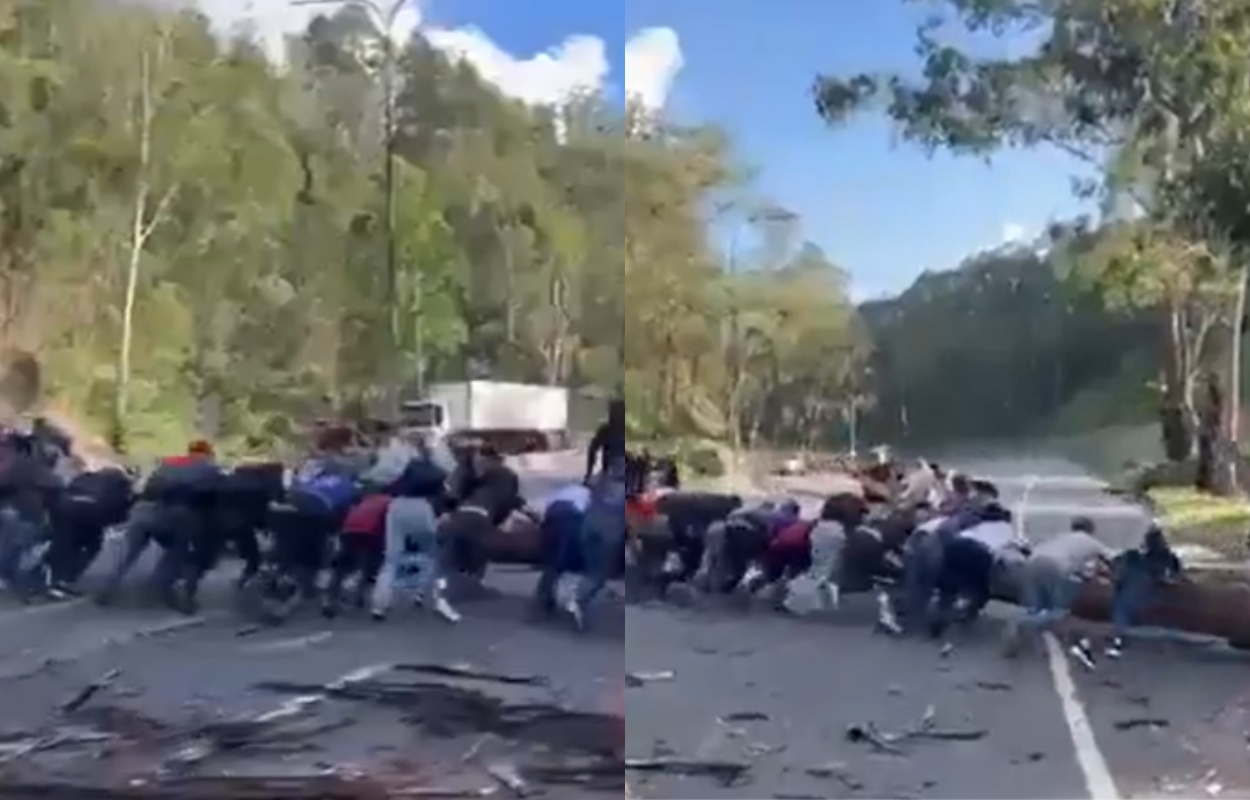 Conductores movieron con sus propias manos un árbol que cayó en la ARC a la altura de Tazón