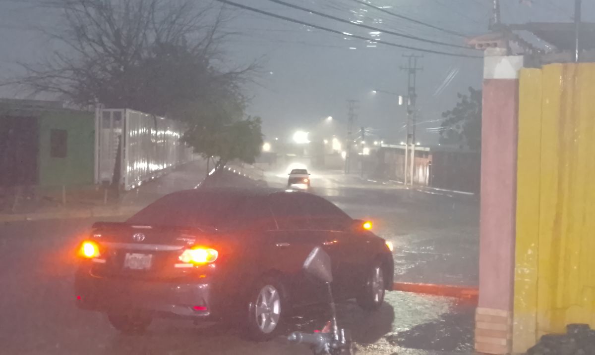 Un temporal de fuertes lluvias y vientos huracanados causó alarma en Carora