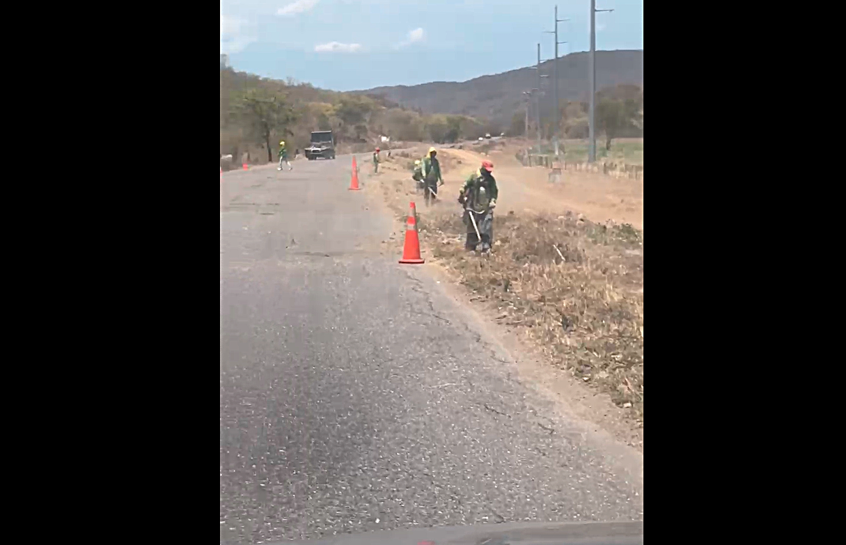 Alcaldía de Torres desmalezó la carretera Panamericana ante el vencimiento del plazo fijado a la Gobernación de Lara