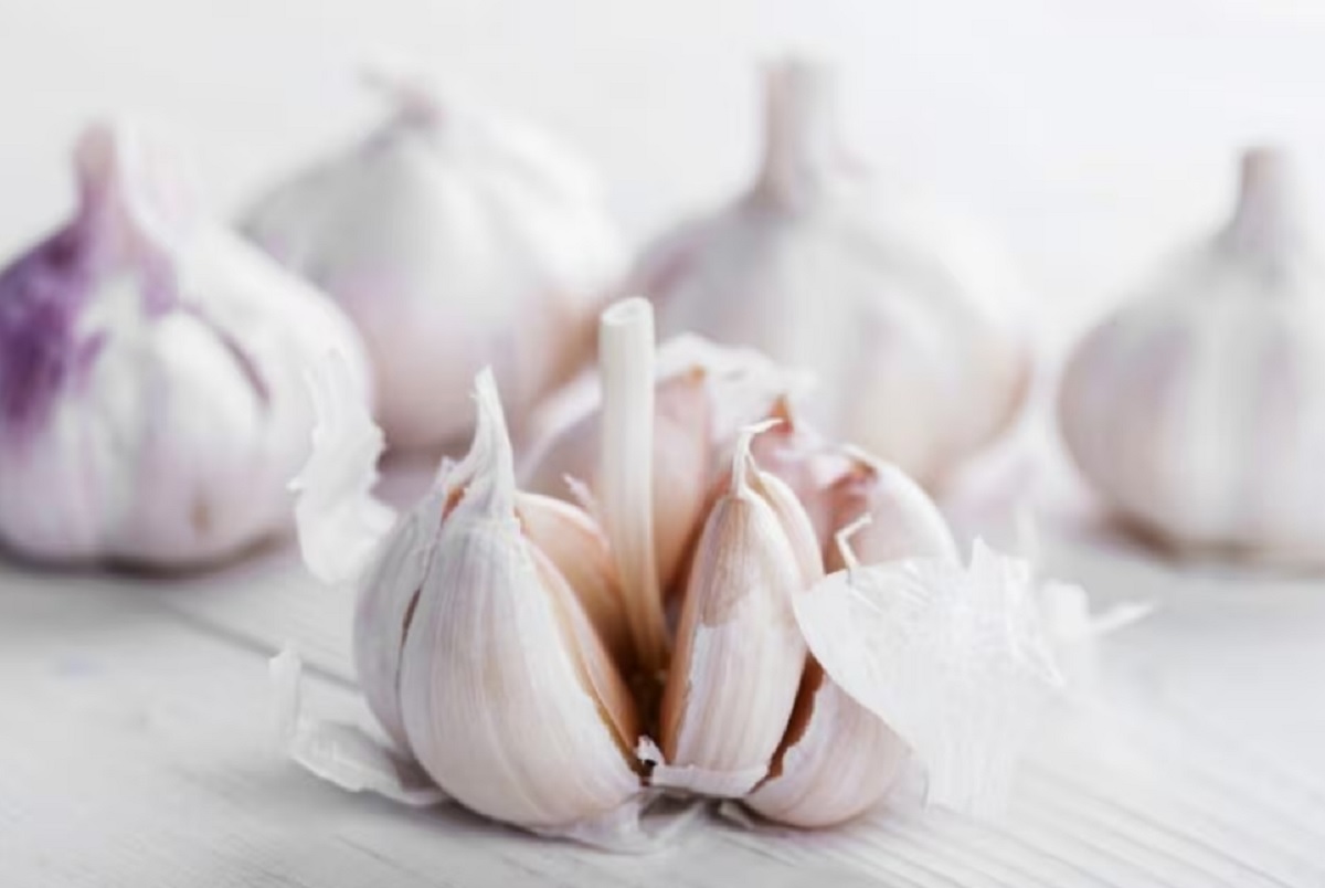 El ajo: ciencia, historia y beneficios reales para la salud cardiovascular