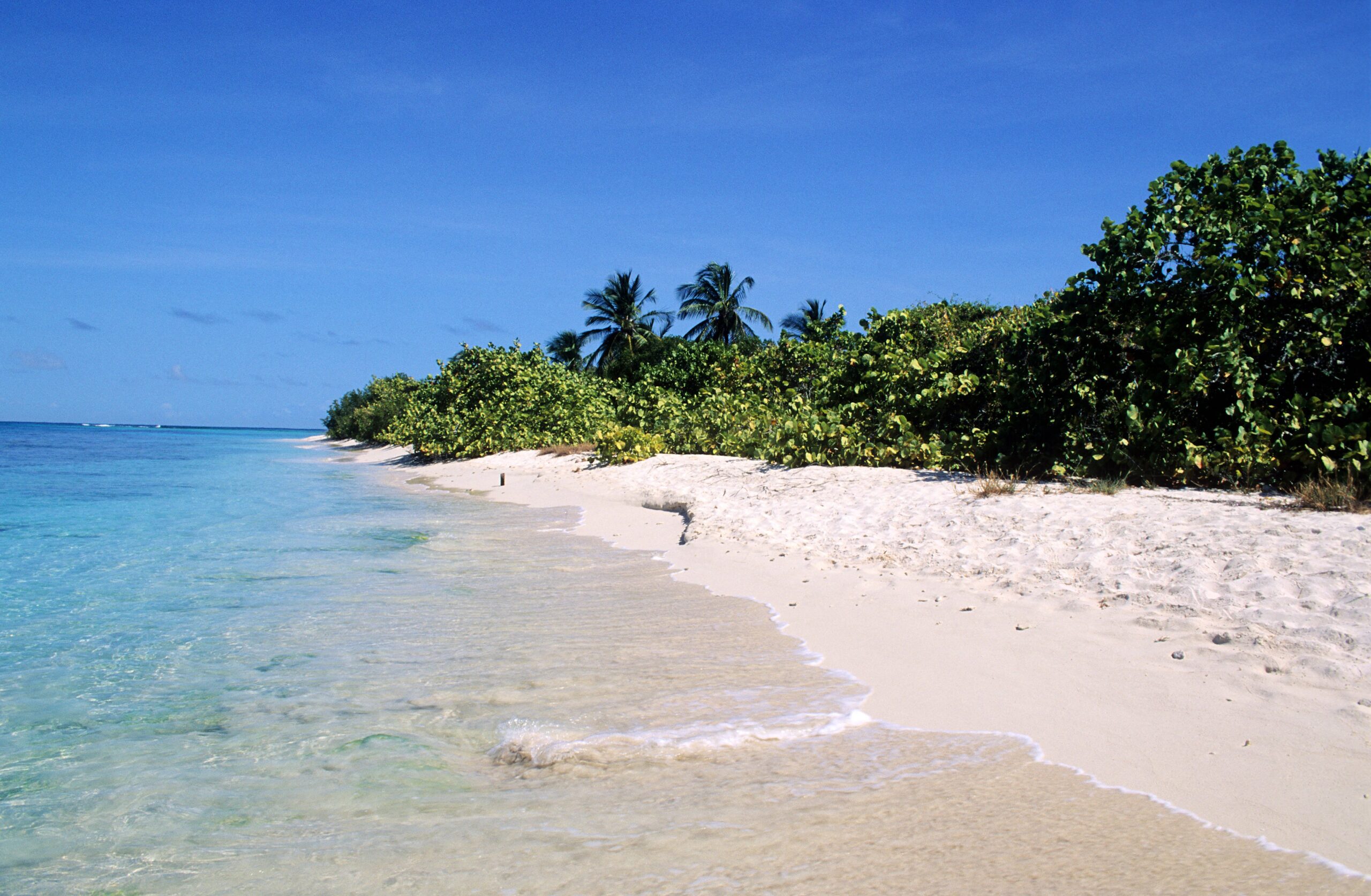 El Parque Nacional Morrocoy es uno de los destinos más demandados en el país | AFP